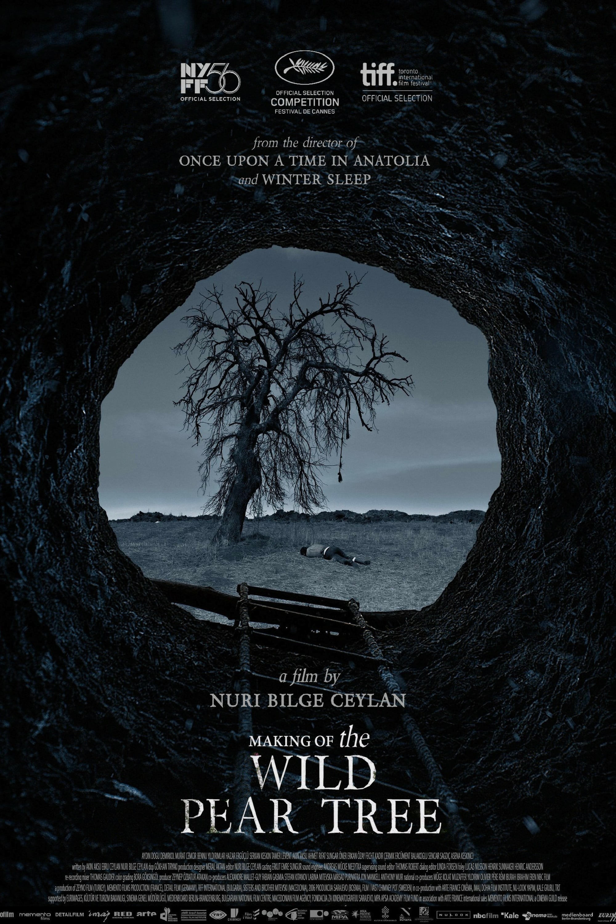 The Wild Pear Tree (2019)