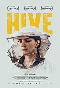 Hive - Zgjoi (2021)