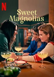 Serial Sweet Magnolias (2020)